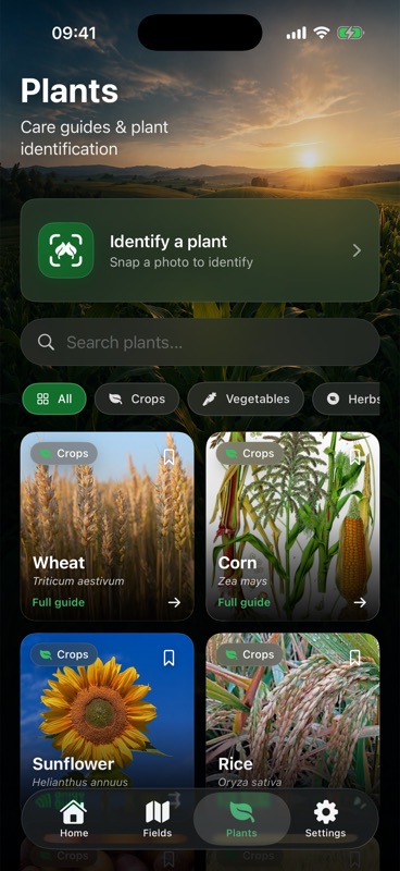 The Plants tab in Agrondo, with a button to identify a plant from a photo above care guides for wheat, corn, sunflower and rice.