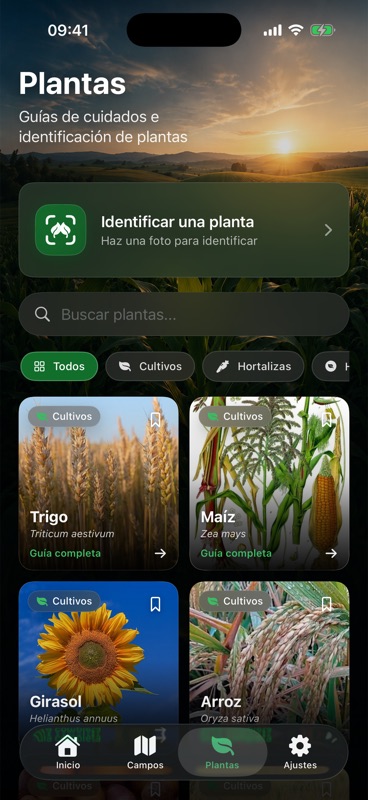 La pestaña Plantas de Agrondo, con un botón para identificar una planta a partir de una foto sobre las guías de cuidados de trigo, maíz, girasol y arroz.
