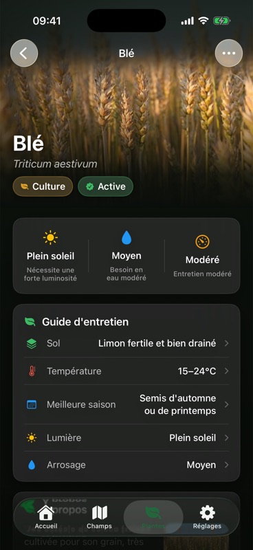 La fiche Blé dans Agrondo, avec un guide d'entretien indiquant le sol, la température, la meilleure saison, la lumière et l'arrosage.