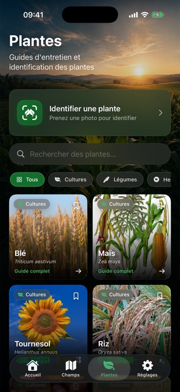 L'onglet Plantes d'Agrondo, avec un bouton pour identifier une plante à partir d'une photo, au-dessus des guides d'entretien du blé, du maïs, du tournesol et du riz.