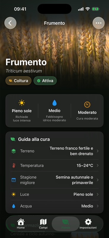 La scheda del frumento in Agrondo, con la guida alla cura che elenca terreno, temperatura, stagione migliore, luce e acqua.