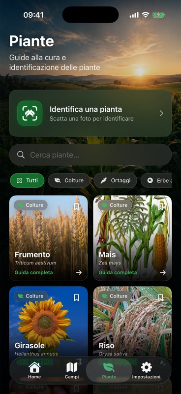 La sezione Piante di Agrondo con un pulsante Identifica una pianta che dice scatta una foto per identificare, una casella di ricerca, i filtri per categoria e le schede di frumento, mais, girasole e riso, ognuna con il nome botanico e un link alla guida completa.