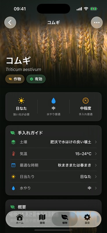 Agrondoのコムギのページ。土壌、気温、最適な時期、日当たり、水やりを並べた手入れガイドが表示されています。