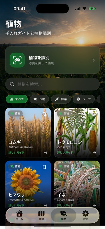 Agrondoの植物タブ。写真から植物を識別するボタンの下に、コムギ、トウモロコシ、ヒマワリ、イネの手入れガイドが並んでいます。