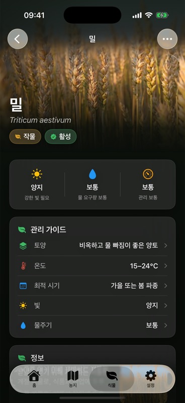 Agrondo의 밀 페이지. 관리 가이드에 토양, 온도, 최적 시기, 빛, 물주기가 정리돼 있어요.