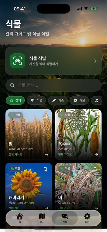 Agrondo의 식물 탭. ‘사진을 찍어 식별하기’라고 적힌 식물 식별 버튼과 검색창, 분류 필터가 있고, 밀과 옥수수, 해바라기, 벼 카드마다 학명과 전체 가이드로 가는 링크가 있어요.