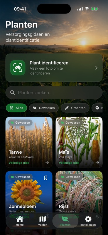 Het tabblad Planten in Agrondo, met bovenaan een knop om een plant via een foto te herkennen en daaronder verzorgingsgidsen voor tarwe, maïs, zonnebloem en rijst.