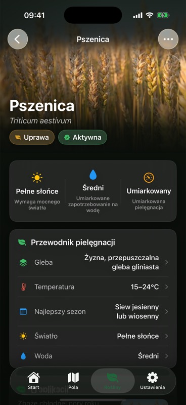 Strona pszenicy w Agrondo z przewodnikiem pielęgnacji: gleba, temperatura, najlepszy sezon, światło i woda.