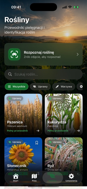 Zakładka Rośliny w Agrondo z przyciskiem do rozpoznania rośliny ze zdjęcia, nad przewodnikami pielęgnacji pszenicy, kukurydzy, słonecznika i ryżu.