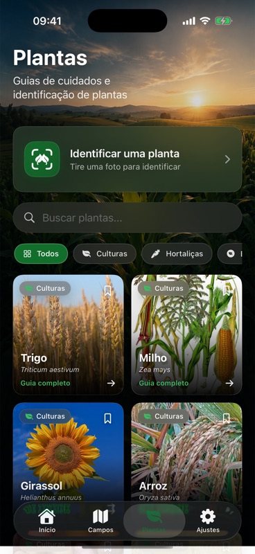 A aba Plantas do Agrondo, com um botão para identificar uma planta por foto acima dos guias de cuidados de trigo, milho, girassol e arroz.