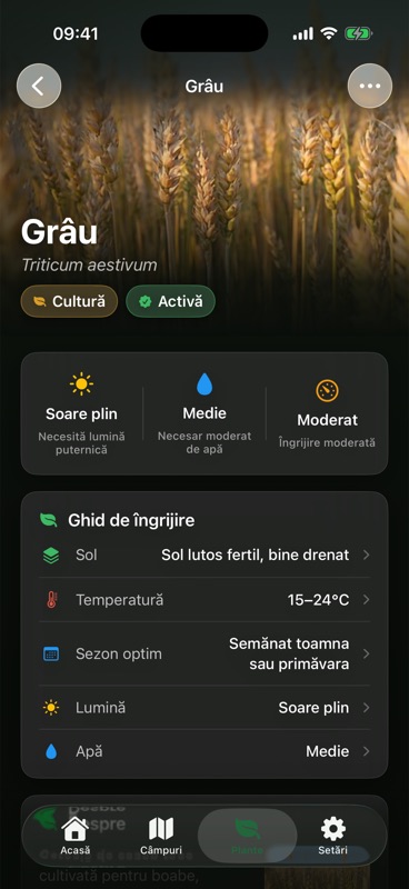 Pagina Grâu din Agrondo, cu un ghid de îngrijire care trece solul, temperatura, sezonul optim, lumina și apa.