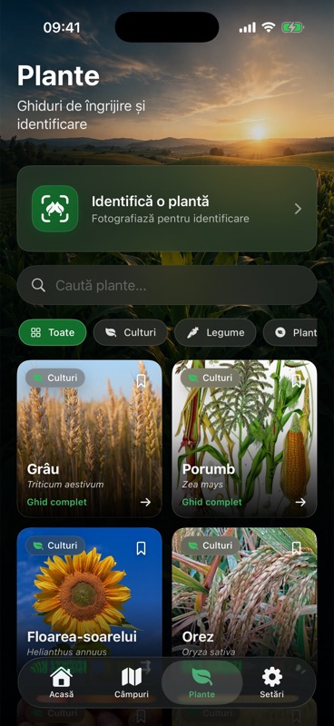 Secțiunea Plante din Agrondo, cu un buton de identificare a plantei după poză, deasupra ghidurilor de îngrijire pentru grâu, porumb, floarea-soarelui și orez.