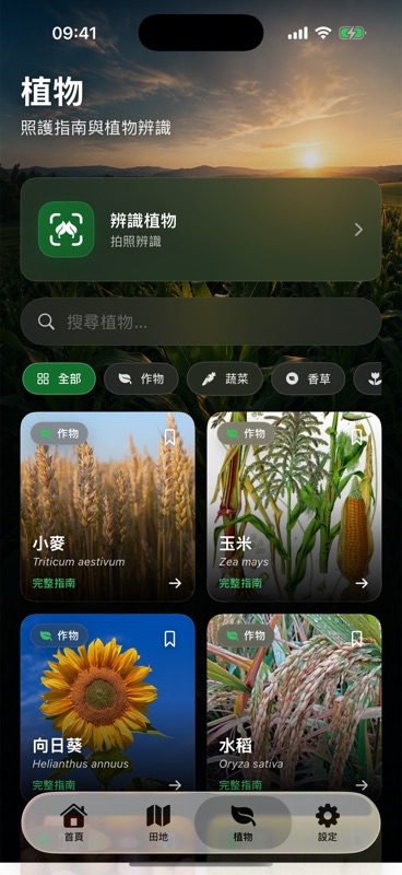 Agrondo 的植物分頁，上方是用照片辨識植物的按鈕，下方是小麥、玉米、向日葵與水稻的照護指南。